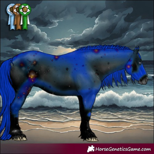 Horse Color:ERROR: UNKNOWN ANOMALY