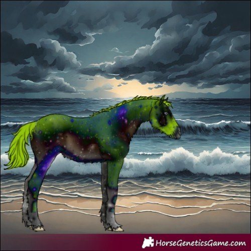 Horse Color:ERROR: UNKNOWN ANOMALY