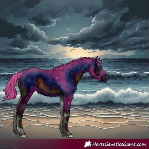 Horse Color:ERROR: UNKNOWN ANOMALY