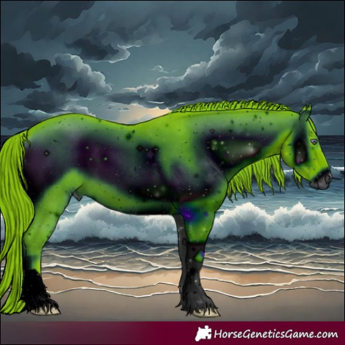 Horse Color:ERROR: UNKNOWN ANOMALY