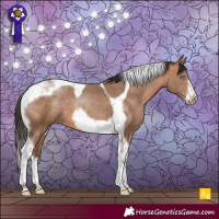 Horse Color:Sable Champagne Tobiano Frame 