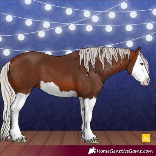 Horse Color:Silver Bay Splash 