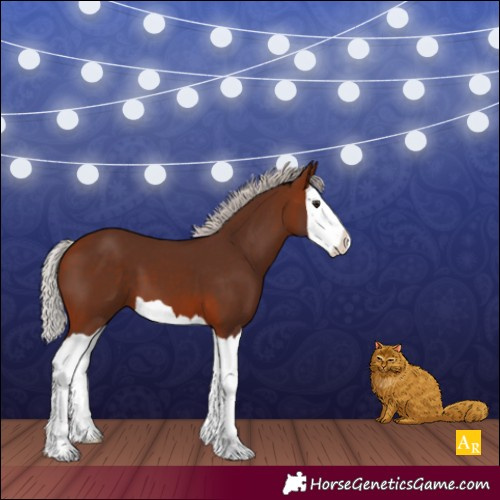 Horse Color:Silver Bay Splash 