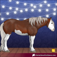 Horse Color:Silver Bay Splash