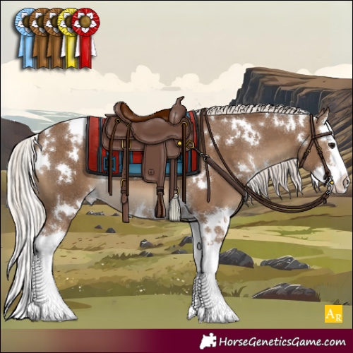 Horse Color:White Spotted Silver Smoky Black Splash Varnish 