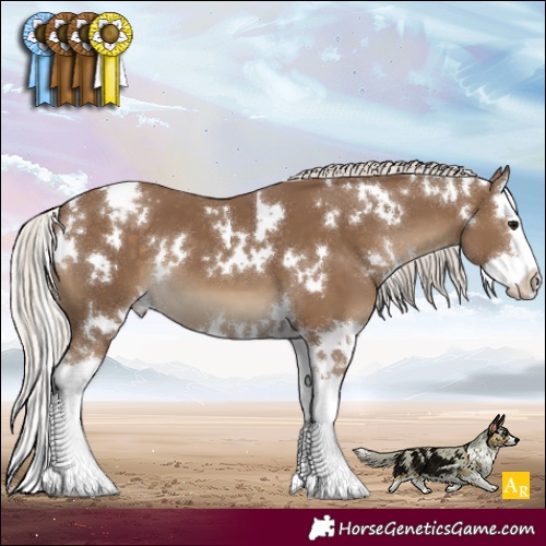 Horse Color:White Spotted Silver Smoky Black Splash Appaloosa 
