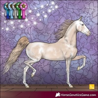 Horse Color:Perlino Sabino Rabicano