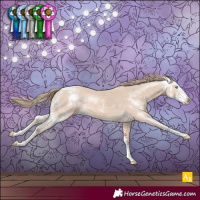 Horse Color:Perlino Sabino Rabicano