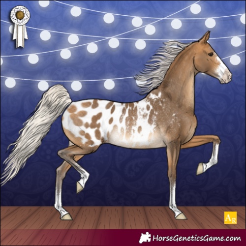 Horse Color:Silver Buckskin Appaloosa Rabicano 