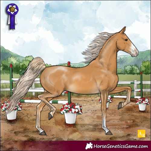 Horse Color:Palomino Sabino