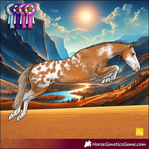 Horse Color:Palomino Sabino Blanket 