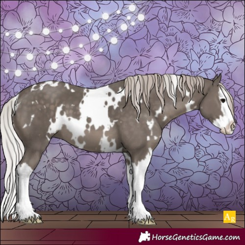 Horse Color:White Spotted Silver Black Splash 