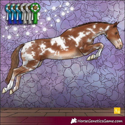 Horse Color:White Spotted Chestnut Varnish 