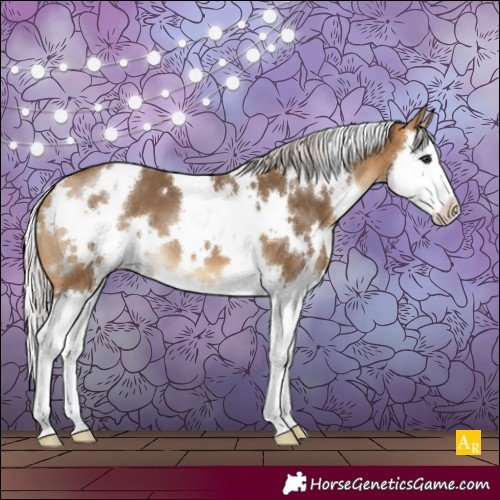 Horse Color:White Spotted Silver Buckskin Splash