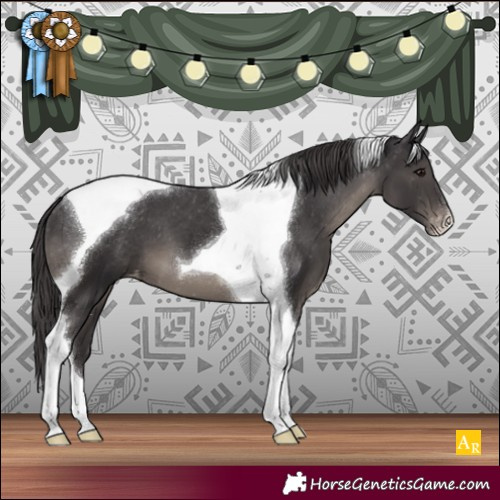 Horse Color:Smoky Black Tobiano Appaloosa 