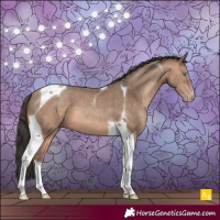 Horse Color:Sable Champagne Tobiano 