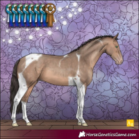 Horse Color:Sable Champagne Tobiano