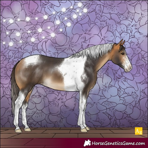 Horse Color:Buckskin Sabino Tobiano 