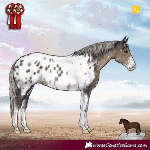 Horse Color:Silver Smoky Black Sabino Tobiano Appaloosa Rabicano 