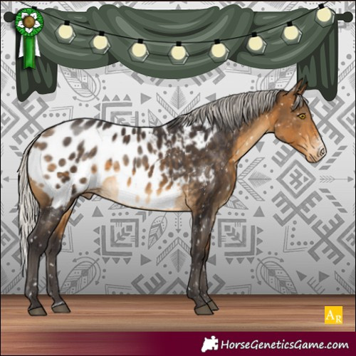 Horse Color:Silver Buckskin Sabino Blanket Rabicano 