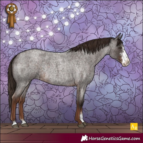 Horse Color:Liver Red Roan Sabino Appaloosa Rabicano