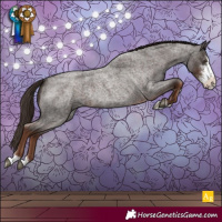Horse Color:Liver Red Roan Sabino Appaloosa Rabicano 