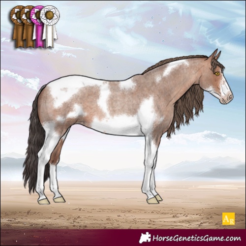 Horse Color:Sable Champagne Roan Tobiano Frame 