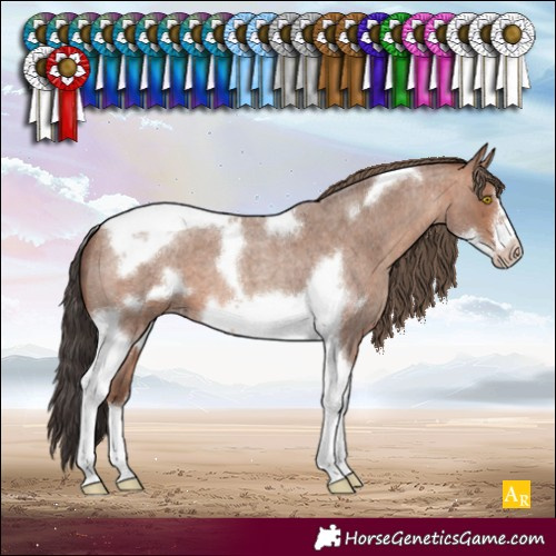 Horse Color:Sable Champagne Roan Tobiano Frame 