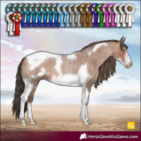 Horse Color:Sable Champagne Roan Tobiano Frame 