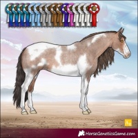 Horse Color:Sable Champagne Roan Tobiano Frame