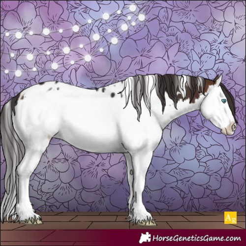 Horse Color:White Spotted Brown Splash Blanket 