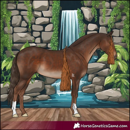 Horse Color:Liver Chestnut 