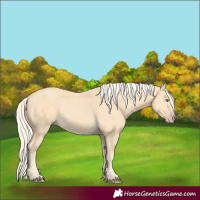 Horse Color:Gold Cream Champagne 
