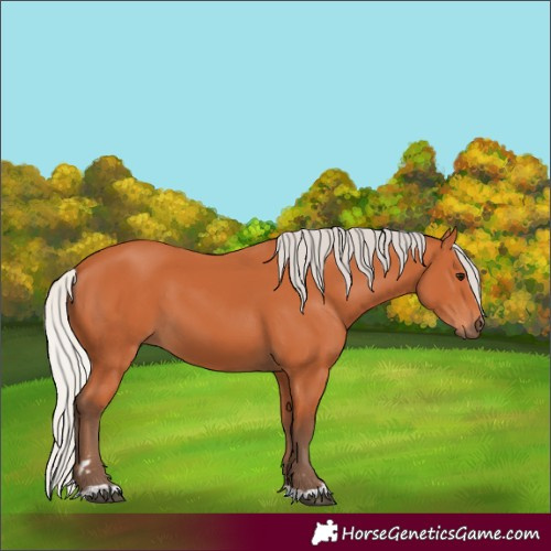 Horse Color:Silver Bay