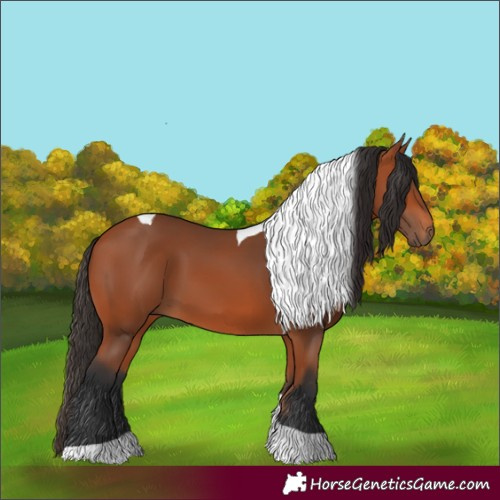Horse Color:Bay Tobiano