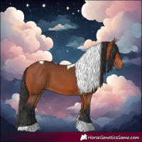 Horse Color:Bay Tobiano