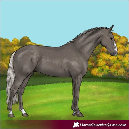 Horse Color:Silver Black 