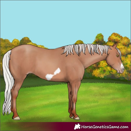 Horse Color:Silver Sable Champagne Frame 