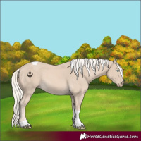Horse Color:Cremello Tobiano 