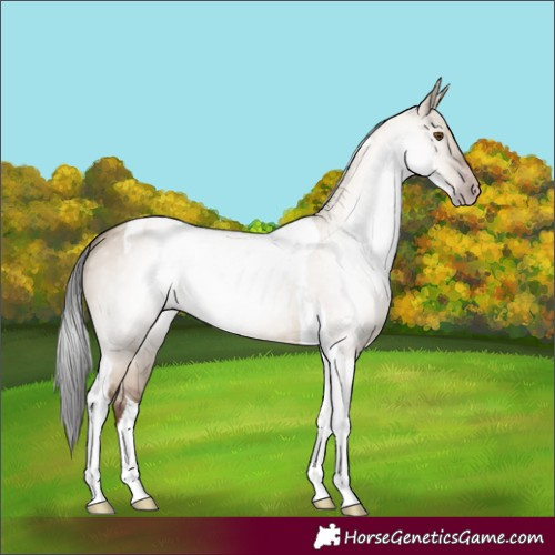 Horse Color:Gray Classic Champagne Dun Tobiano 
