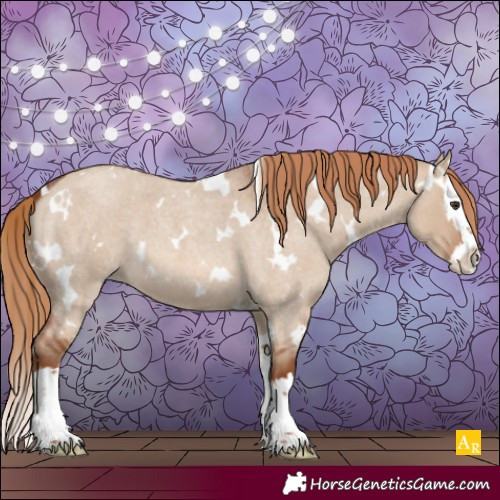 Horse Color:White Spotted Red Dun Roan Splash 