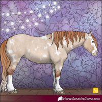 Horse Color:White Spotted Red Dun Roan Splash