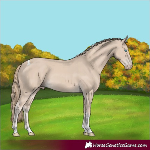 Horse Color:Smoky Creme Tobiano 