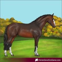 Horse Color:Brown 