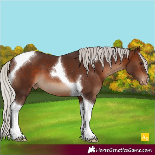 Horse Color:Silver Brown Tobiano Varnish 
