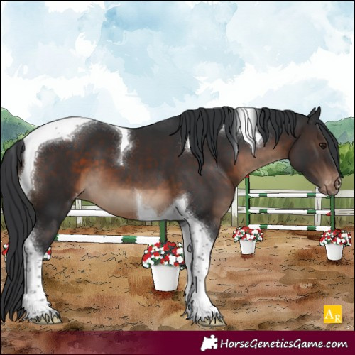 Horse Color:Brown Tobiano Blanket 