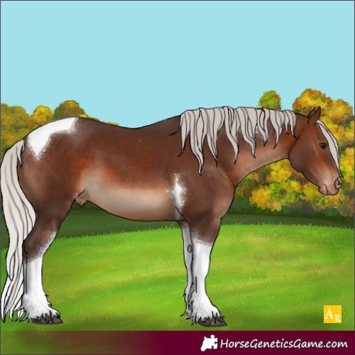Horse Color:Silver Brown Tobiano Varnish 