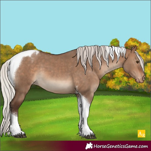 Horse Color:Silver Brown Dun Tobiano Appaloosa 
