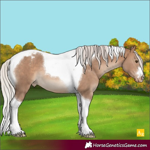Horse Color:Silver Brown Dun Tobiano Blanket 
