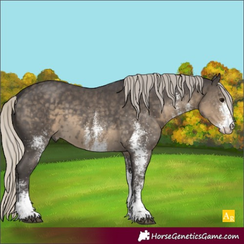 Horse Color:White Spotted Silver Smoky Black 